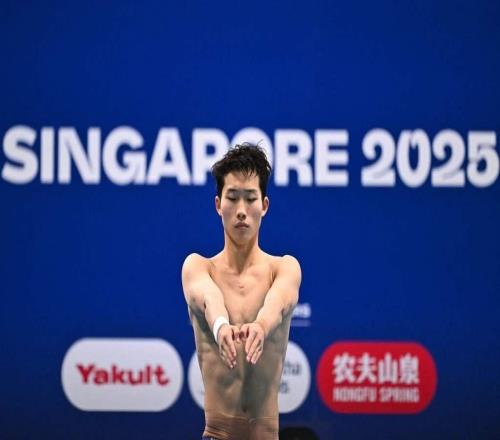 世锦赛收官跳水“梦之队”拉响警报,延续辉煌路上现隐忧