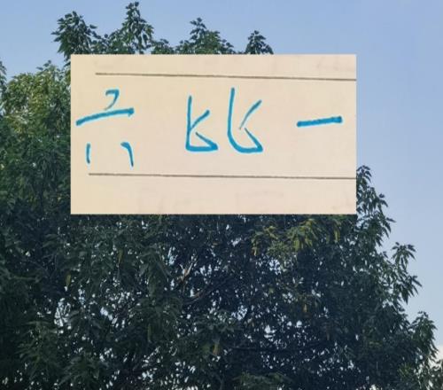 一场六比1！又燃起里了申花夺冠的希望就差海港3三分