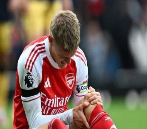 官方:厄德高韧带受伤,退出国家队