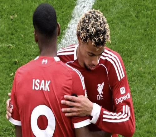 本赛季印象最深的英超新援亨利:埃基蒂克,他适应得太快了