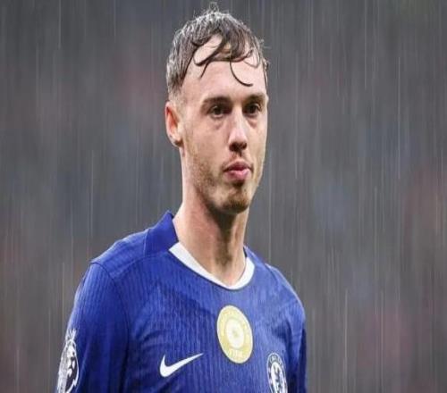 英媒：帕尔默将休战到11月