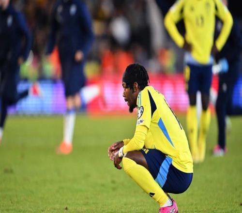 埃兰加在瑞典队赛后说:这个该死的体系必须改变!