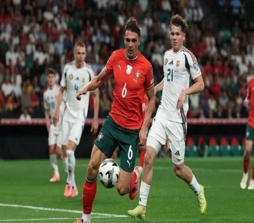 帕利尼亚:匈牙利实力很强下半场我们缺少了一些压迫