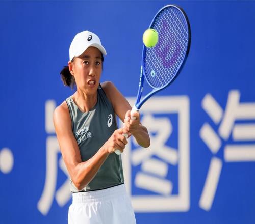 张帅退赛让双打出局成绝唱，网友扎心提问：为何退得这么突然