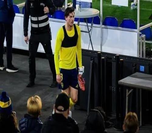 林德洛夫谈瑞典队被嘘:球迷们想嘘就嘘吧,但这样会更好吗