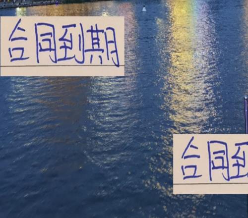 12月到期!中超前5明年可能见不到外援
