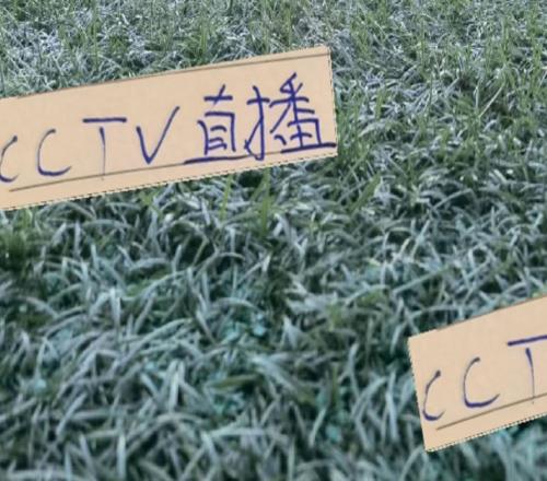 神奇一击!第27轮排名第一海港没得CCTV直播但申花还是有直播的