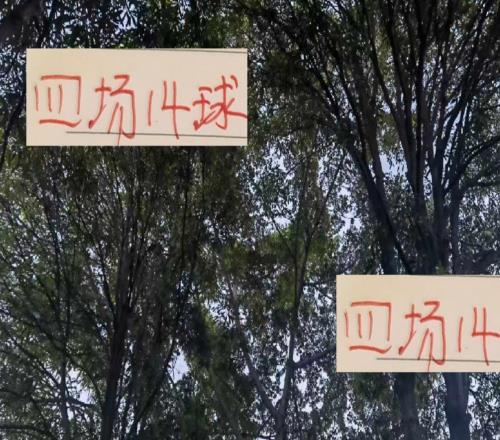 太帅了!4场14球!海港莱昂纳多就占了一半不愧是武磊接班人