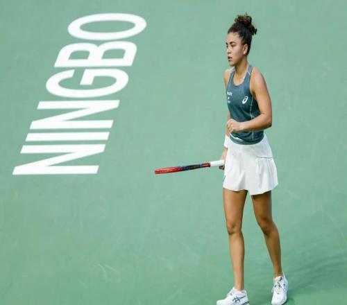 鲍里妮逆转本西奇总决席席位稳了网友：得看莱巴金娜是否答应