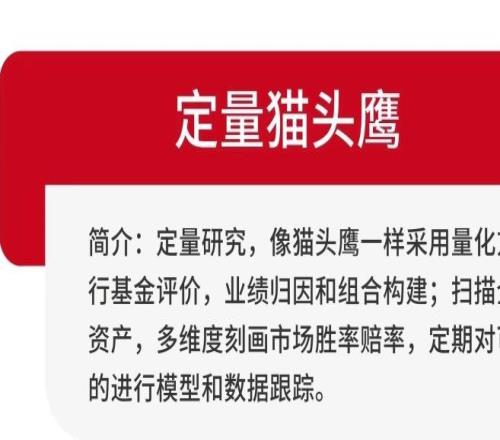 从杨瀚森,到FOF