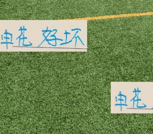 申花好消息!马莱莱没有来坏消息!蒋圣龙上不了场