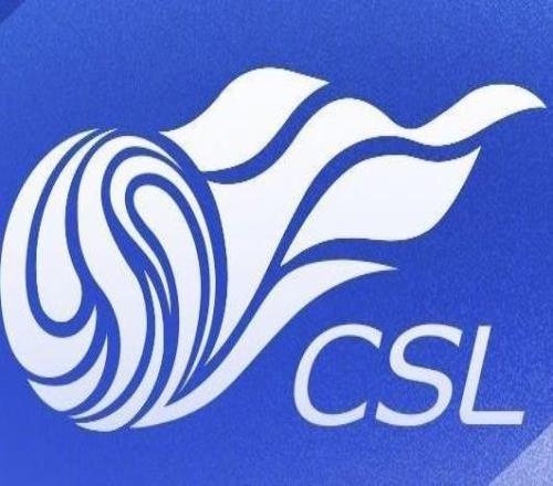 中超第28轮观众人数：山东泰山主场33612人居首，场均21519人