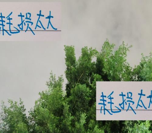 亚冠对马纳法+特谢拉耗损太大了！申花双子神不灵球队也不灵