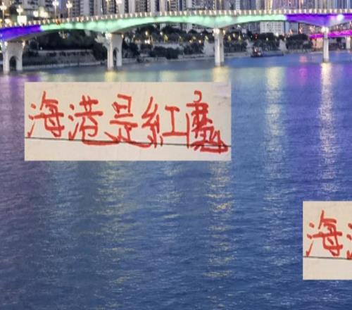 谁说少武磊奥斯卡海港就不能冠军！用山东弃将他们依然是红魔