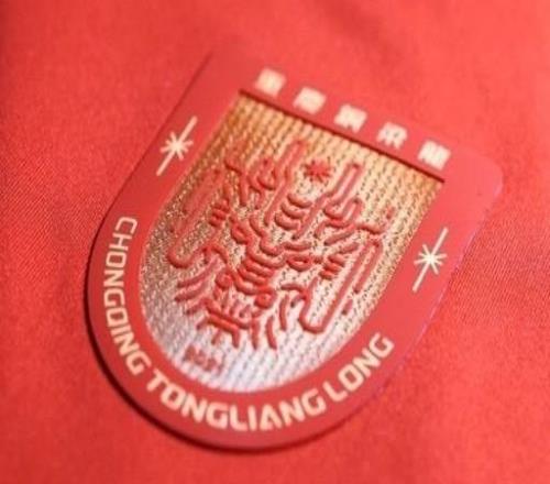 成都蓉城祝贺铜梁龙冲超：期待我们明年中超赛场见