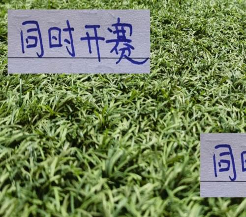 申花不用担心海港先出场！最后一轮同时开赛二弟就别抱怨大哥