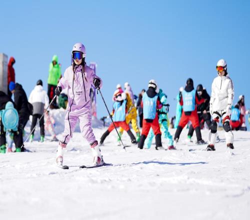 新雪季大幕开启，雪场有何创新亮点