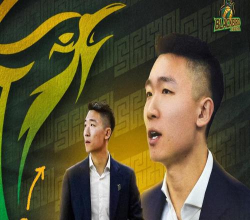 官方：30岁少帅杨赞执教NBL新军上海玄鸟曾斩获WCBA最佳教练