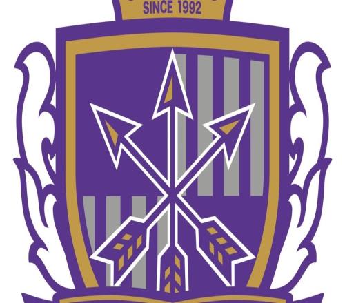 上海申花亚冠客场01不敌广岛三箭