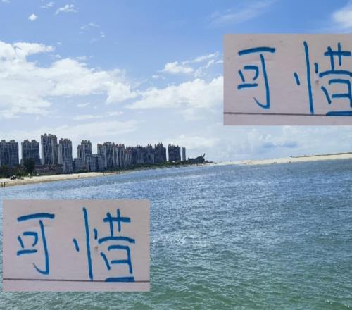 可惜！海港红申花蓝明年没有办法一年四次见面了