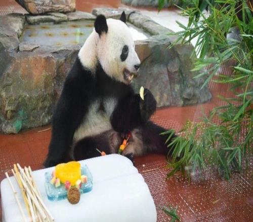 2025广马倒计时！收好这份吃玩住行一站式攻略