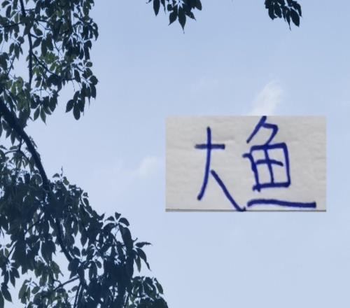 中下游球队的大鱼陆续浮出水面就看是谁能钓上来了