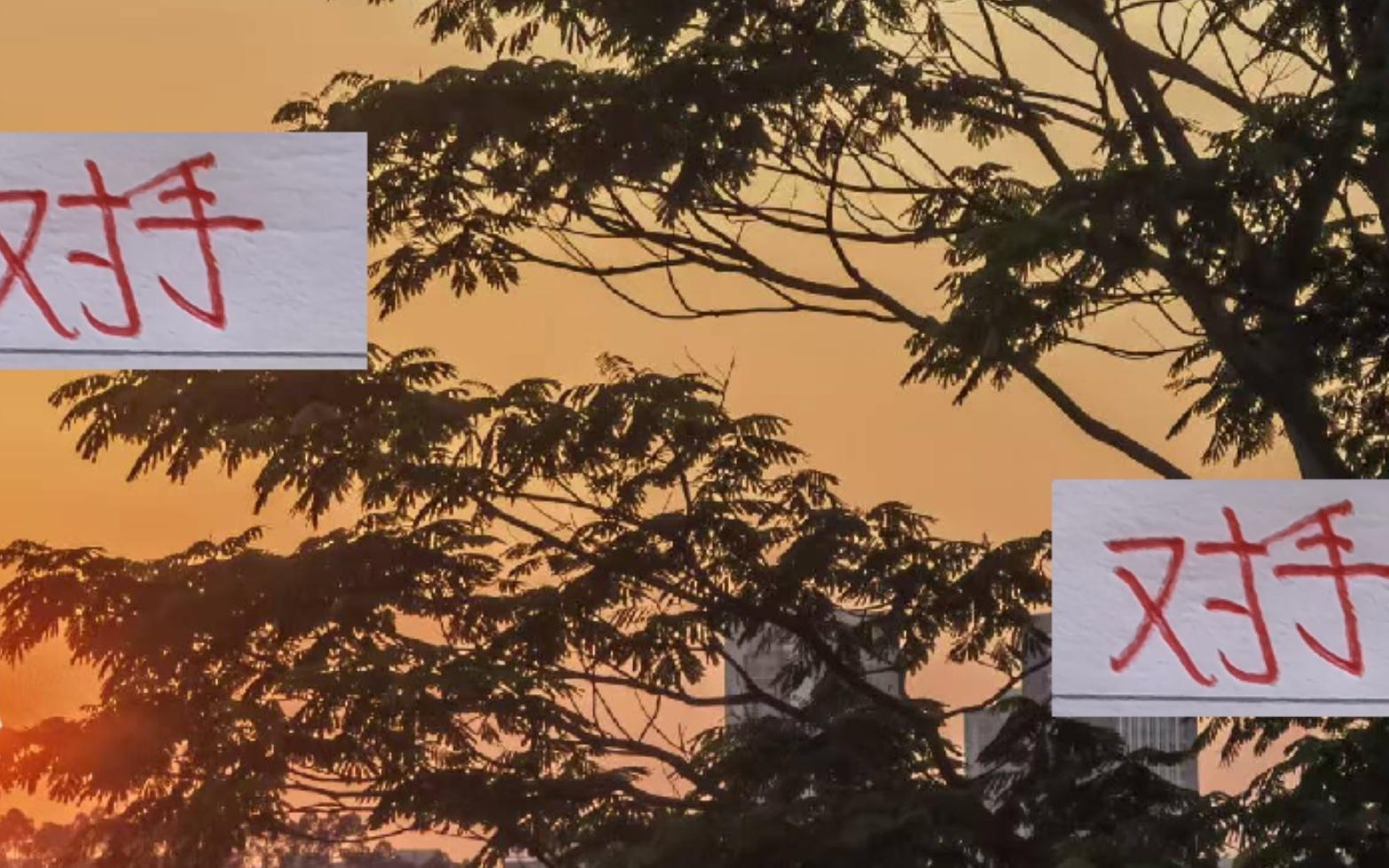 马年海港争冠对手除了申花外可能会