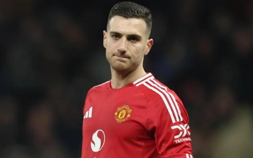 希勒：达洛特蹬踏多库应该被出示红牌