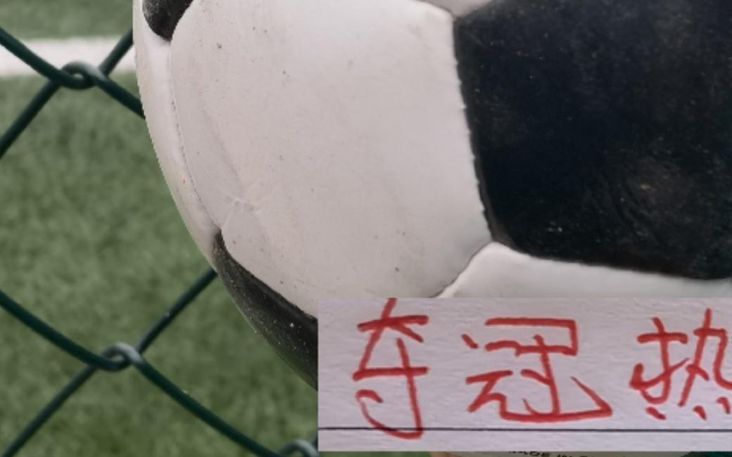 申花不扣分也是夺冠热门今年夺冠球队应是澳波系四大球队