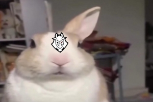 Bin语从句已学会G2官博发文：过年偷偷比赛卷死你们