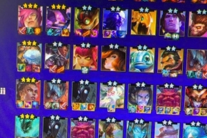 希然分享云顶之弈战绩：那说啥了三星锤石可以被任何人爆杀