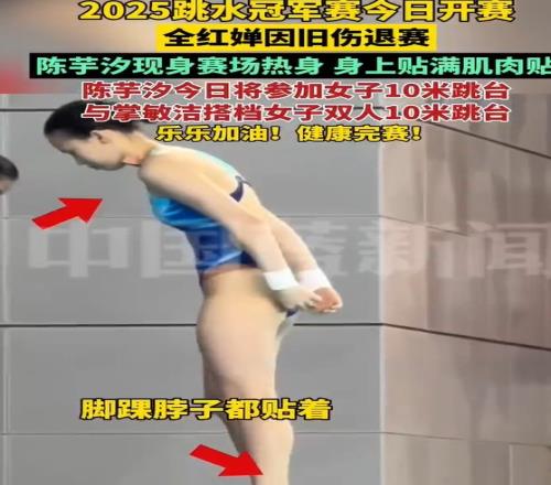 全红婵因旧伤退赛,陈芋汐与掌敏洁搭档女子双人10米跳台