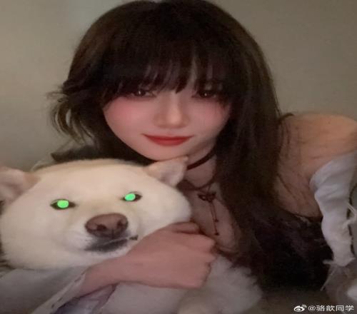 媚眼如丝！骆歆晒照：笨蛋小狗只要被人摸一下头就开始喜欢人类