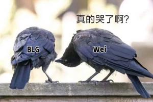 理性讨论：作为目前LPL纸面实力最强的全华班BLG，为什么风评如此之差