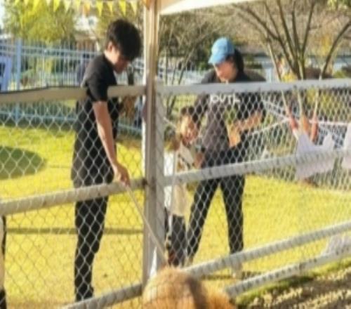 何意味Beichuan昨日更新微博动态上线后将打野Shad0w取关