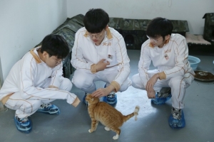 AL分享队员公益活动返图：上野辅三兄弟铲屎记！