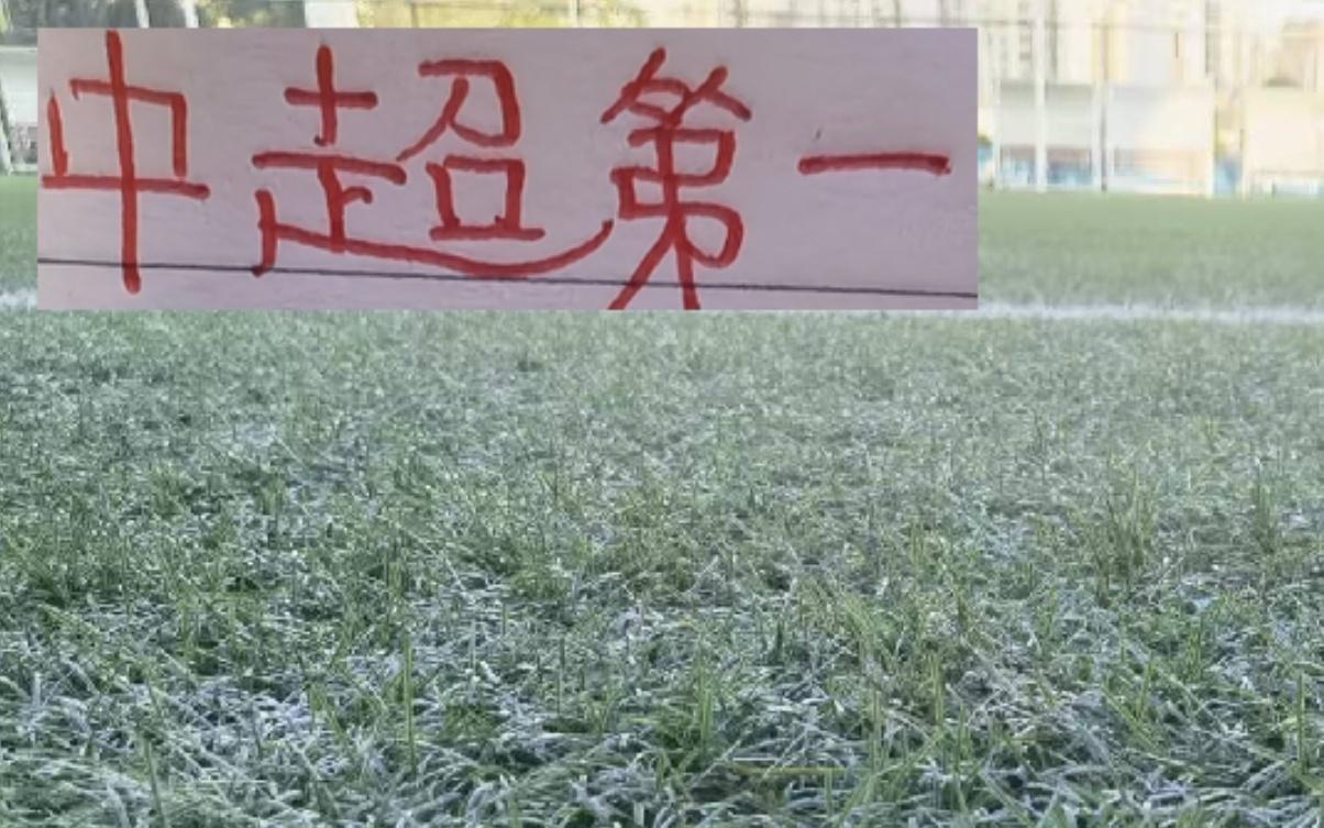不怕学霸成绩好就怕比你更努力！海港