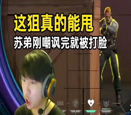 冠军赛NAVIVSDRX苏弟：cNed这波穿烟狙和甩狙，真的吓人！