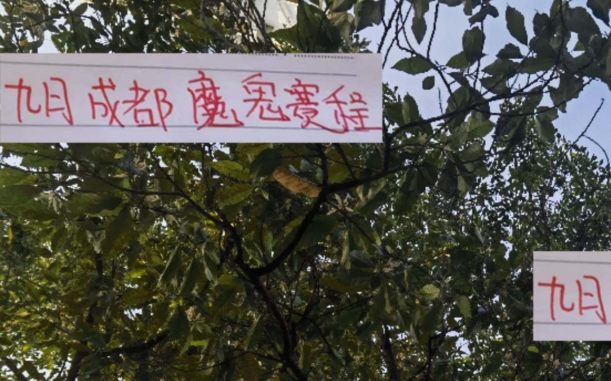 相比申花海港北京国安9月成都蓉城才是魔鬼赛程2主3客