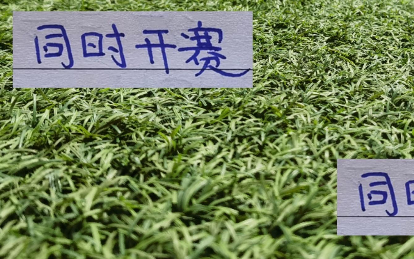 申花不用担心海港先出场！最后一轮同时开赛二弟就别抱怨大哥