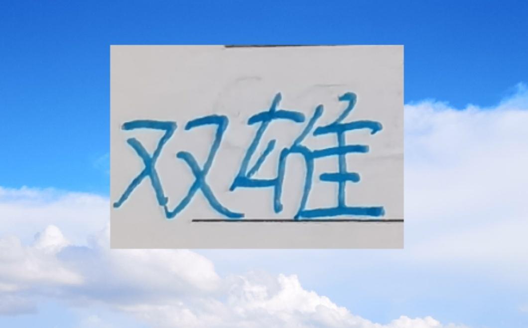 谁是中超最好边后卫申花就有马纳法