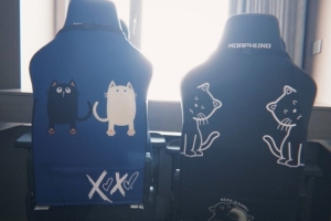 余霜分享新买的电竞椅：定制款变体精灵YYDS！以后可以双排上分了