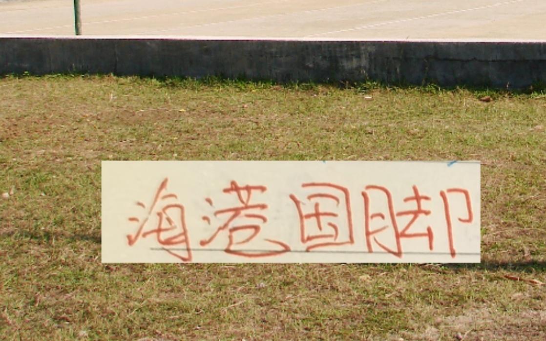 选择还是要大于努力！从王振澳到吾米