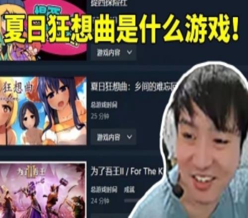Letme调查好友steam看到阿芙库存笑嘻了：夏日狂想曲是什么游戏！