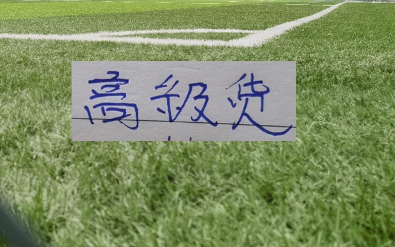 超频版本马莱莱登巴巴的同胞在申花