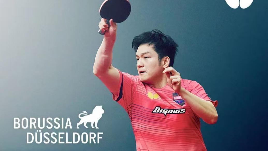 樊振东加盟德甲杜塞尔多夫俱乐部