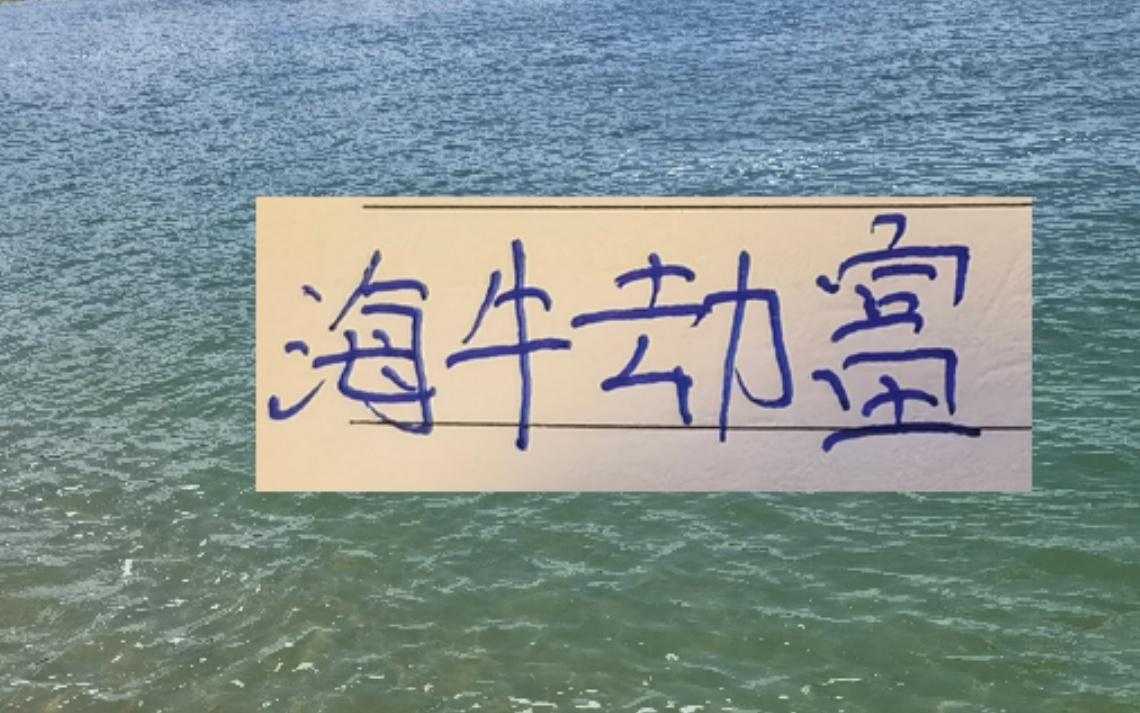 海牛劫富济贫!接连在山东成都北京国安拿到分数李太守可不吹