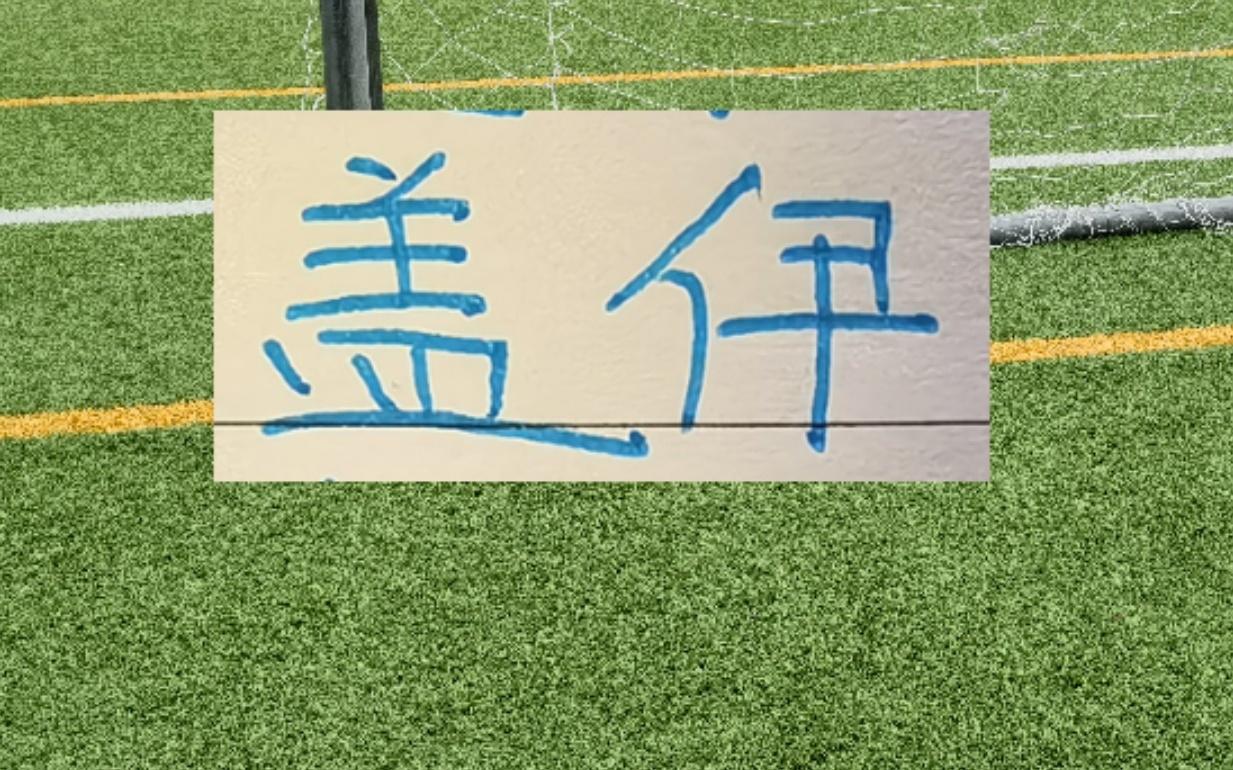 1米95的盖伊会像马莱莱一样面对中超后卫都是降维打击吗