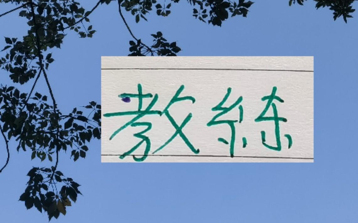 中超教练就差北京国安跟成都蓉城没有官宣