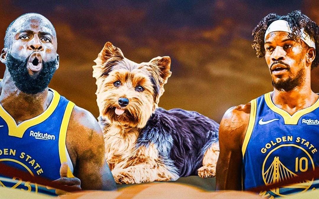 骑士队德安德烈亨特彻底粉碎交易传闻：“我为啥要被交易”